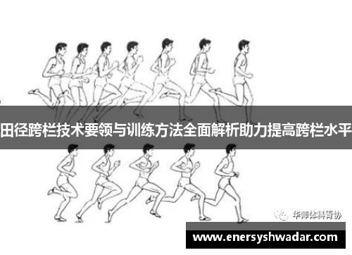 田径跨栏技术要领与训练方法全面解析助力提高跨栏水平