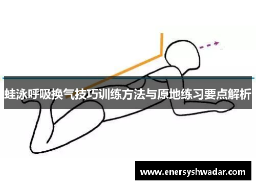 蛙泳呼吸换气技巧训练方法与原地练习要点解析